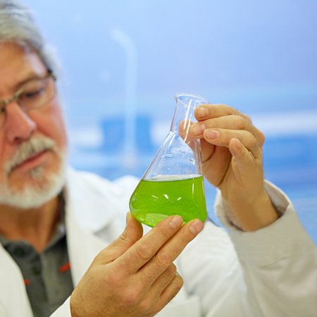 Культура растительных клеток