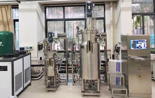 Случай ферментеров для культуры дрожжей и кишечной палочки